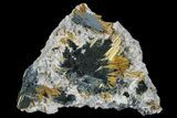 Golden Rutile Crystals on Hematite - Brazil #173011-1